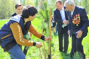 Антон Мороз принял участие в патриотической акции «Дерево Победы»