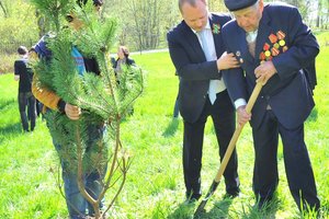 Антон Мороз принял участие в патриотической акции «Дерево Победы»